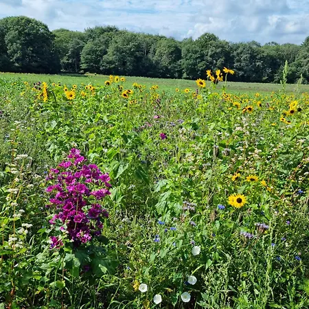 Διαμέρισμα Logeren Bij Sabine En Jw