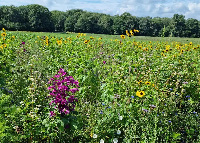 Apartmán Logeren Bij Sabine En Jw