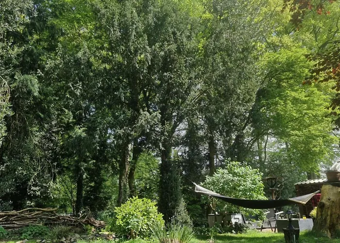 Logeren Bij Sabine En Jw *