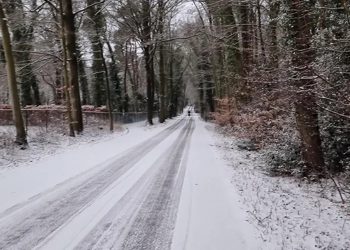 Logeren Bij Sabine En Jw Beekbergen